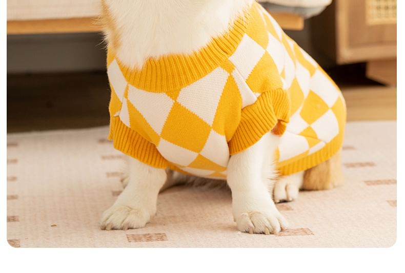 Cissilli - Argyle Pet Top met letters