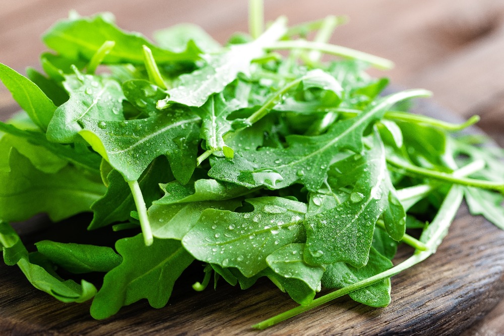 Bio - roquette - 3000 graines - eruca sativa