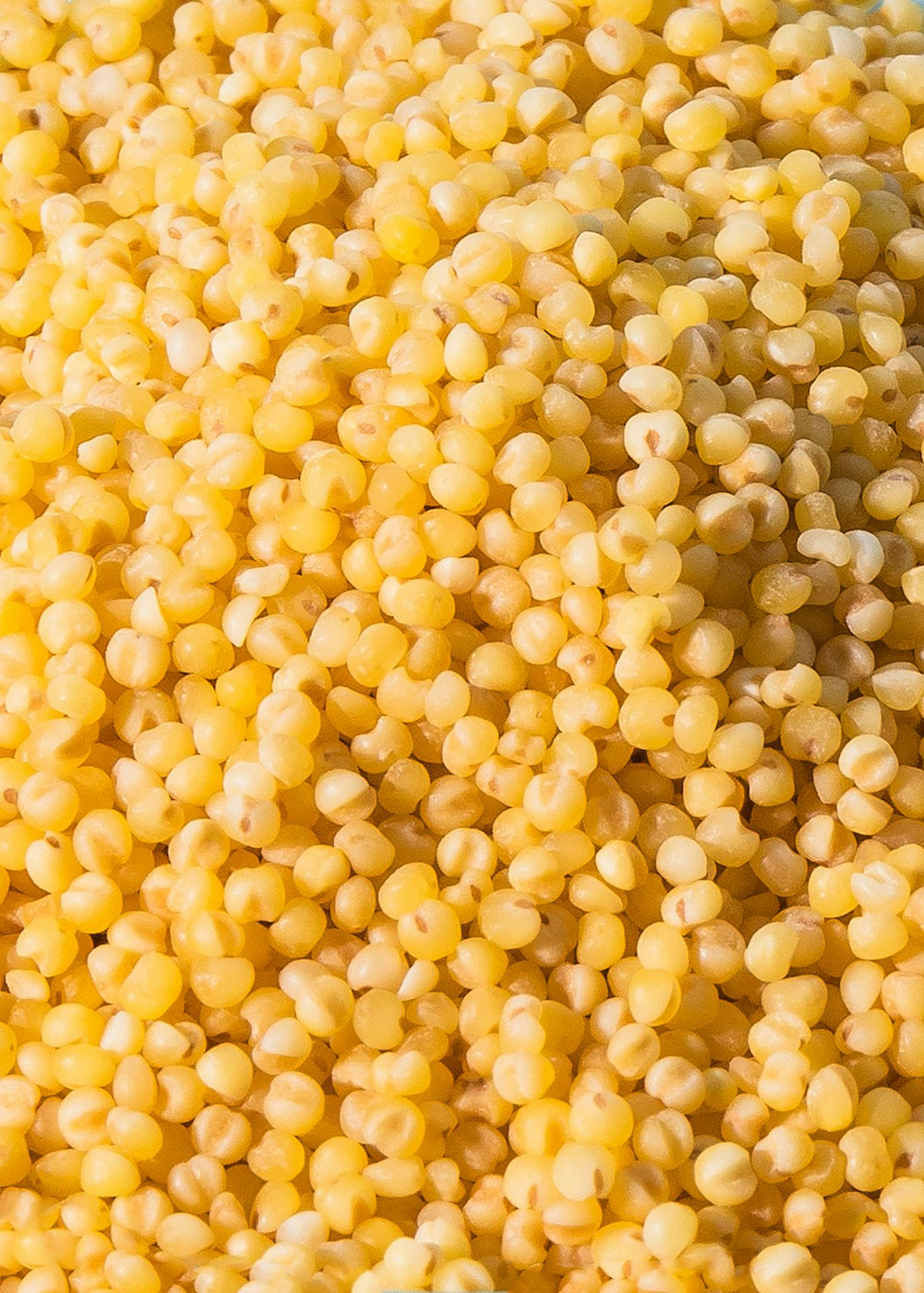Bio Hirse 2 kg