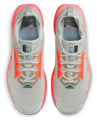 Chaussures Trail Nike Pegasus Trail 5 GTX Gris/Orange Homme
