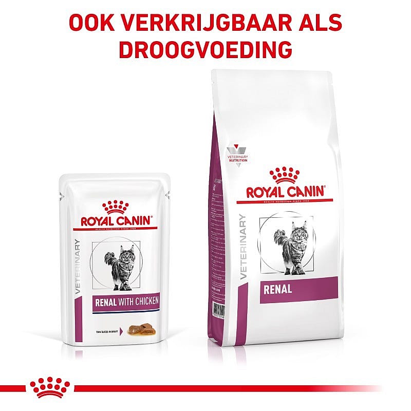 Royal Canin Kat Renal Kattenvoer voor ondersteuning van de nierfunctie van volwassen katten