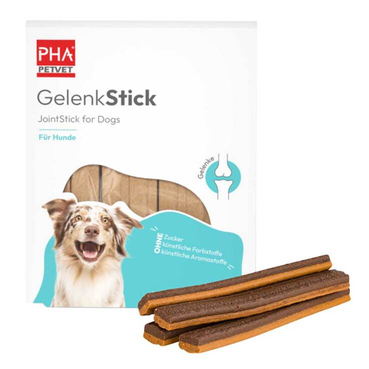 PHA Gelenkstick für Hunde, 1 St