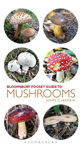 Pocket Guide to Mushrooms - Pocket Guides (Paperback)