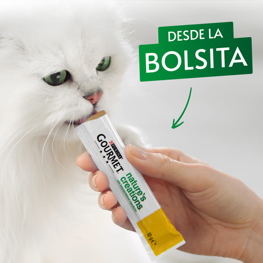 Petisco úmido de carne bovina Gourmet Nature's Creations para gatos