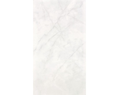 Steengoed wandtegel Pathos grijs glanzend 20 x 40 cm