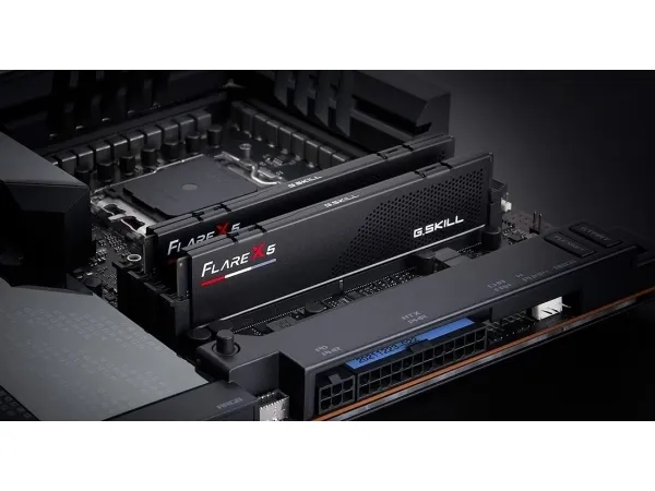 G.Skill Flare X5 - DDR5 - sæt - 64 GB: 2 x 32 GB - DIMM 288-PIN lav profil - 3000 MHz / PC5-24000 - CL30 - 1.4 V - ikke bufferet - on-die ECC - mat sort