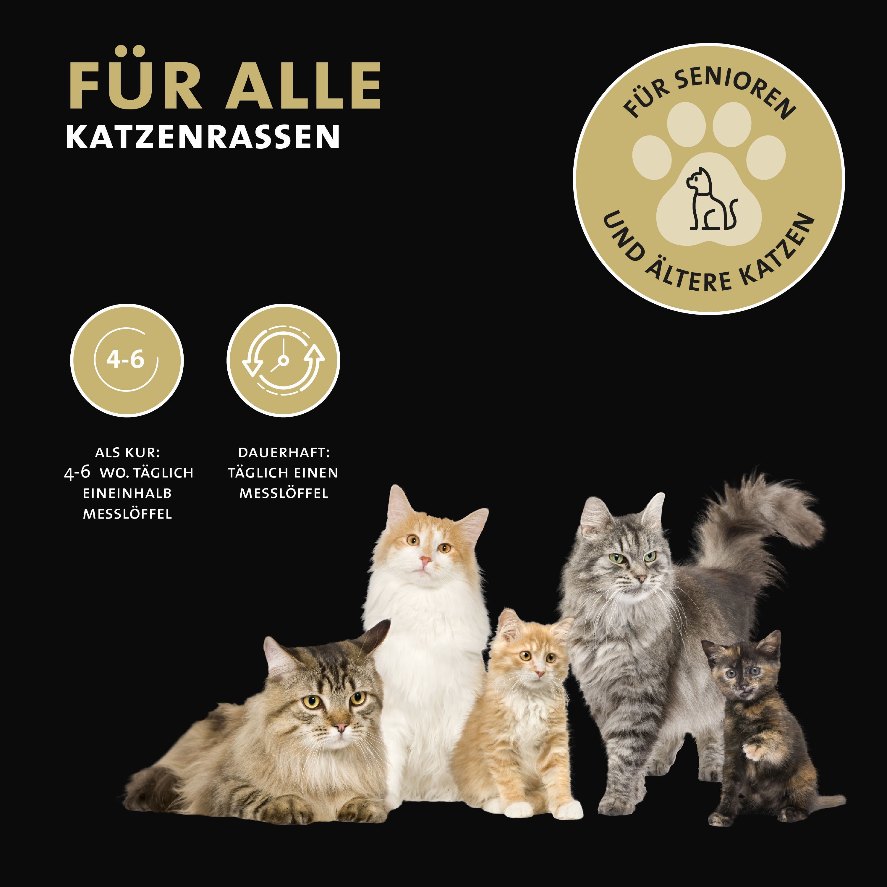 Peticare Senior Pulver für Katzen, fördert Vitalität & Beweglichkeit im Alter