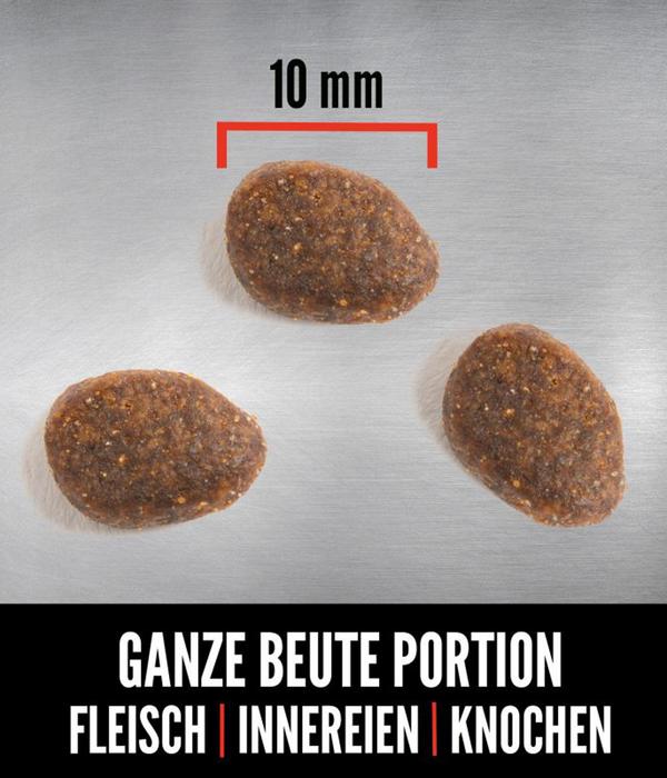 ORIJEN™ Trockenfutter für Katzen Regional