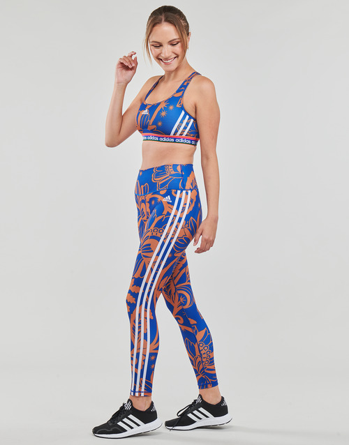 adidas Performance - FARM LEGGINGS - Bleu