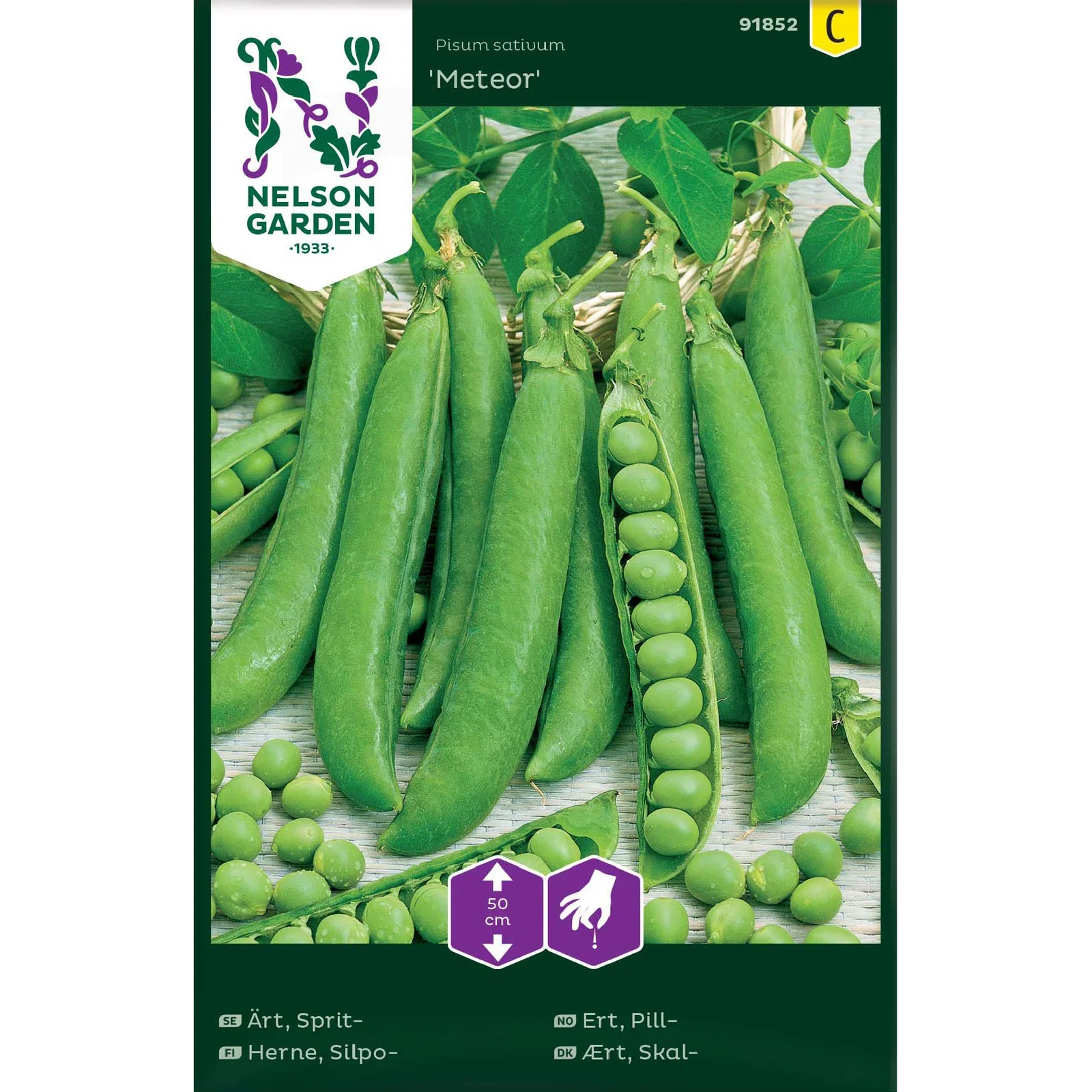 Pisum sativum 'Meteor' Pillert 'Meteor'