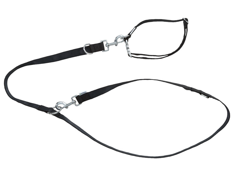 Hondenhalsband en riem