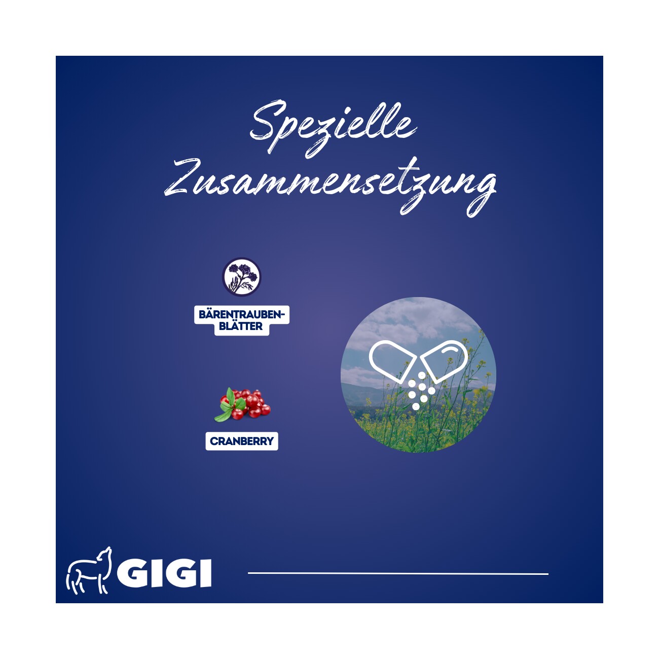 GIGI VET Harn & Blase 14 Stück