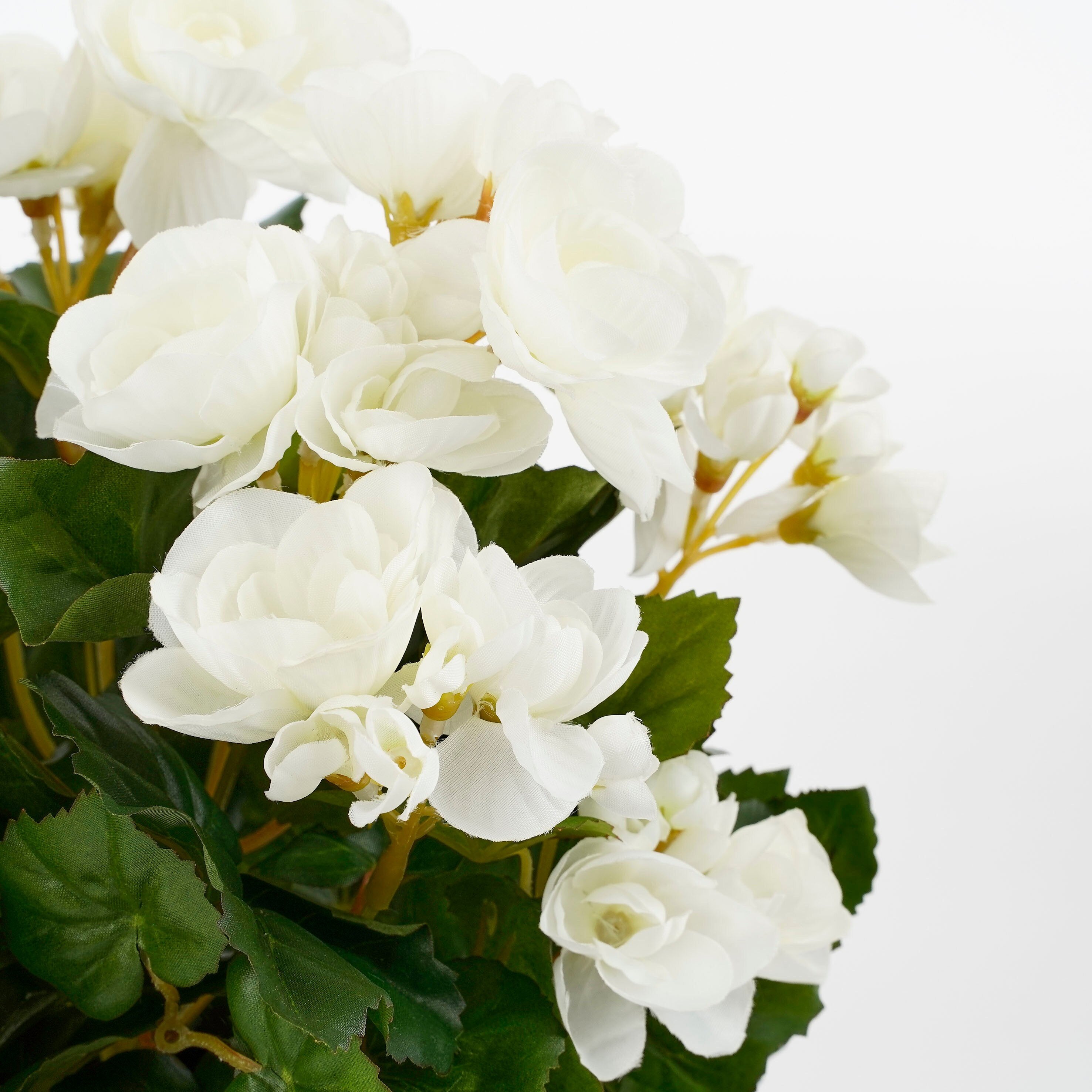 Mica Decorations Begonia wit in pot Stan grijs d11,5cm - h30xd25cm
