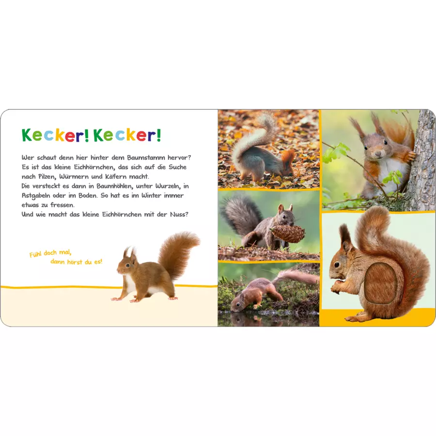 arsEdition Hör mal rein, wer kann das sein? - Tiere im Herbst
