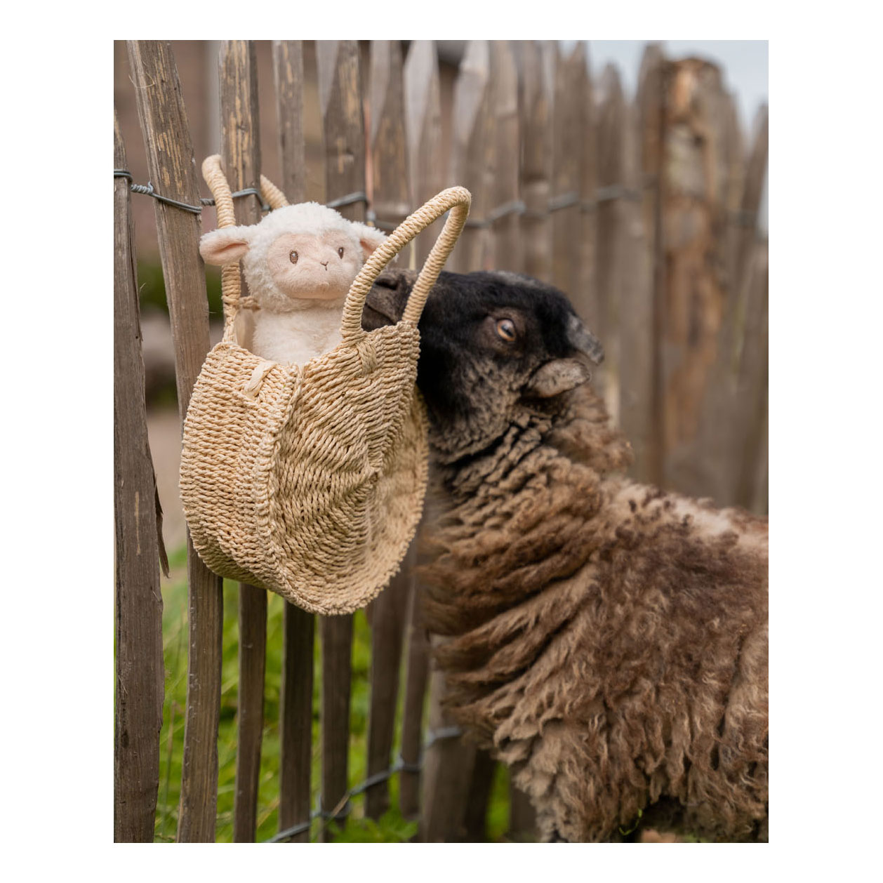 Little Dutch Knuffel Schaap Little Farm, 17cm