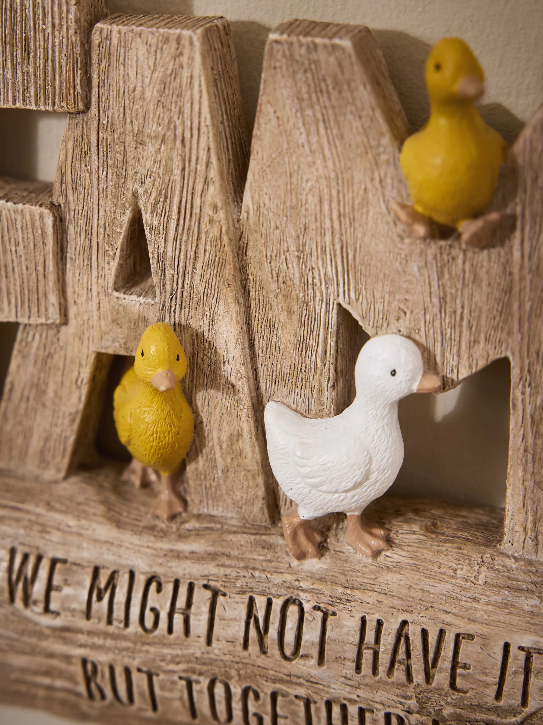 Ducks Family Slogan Wall Art