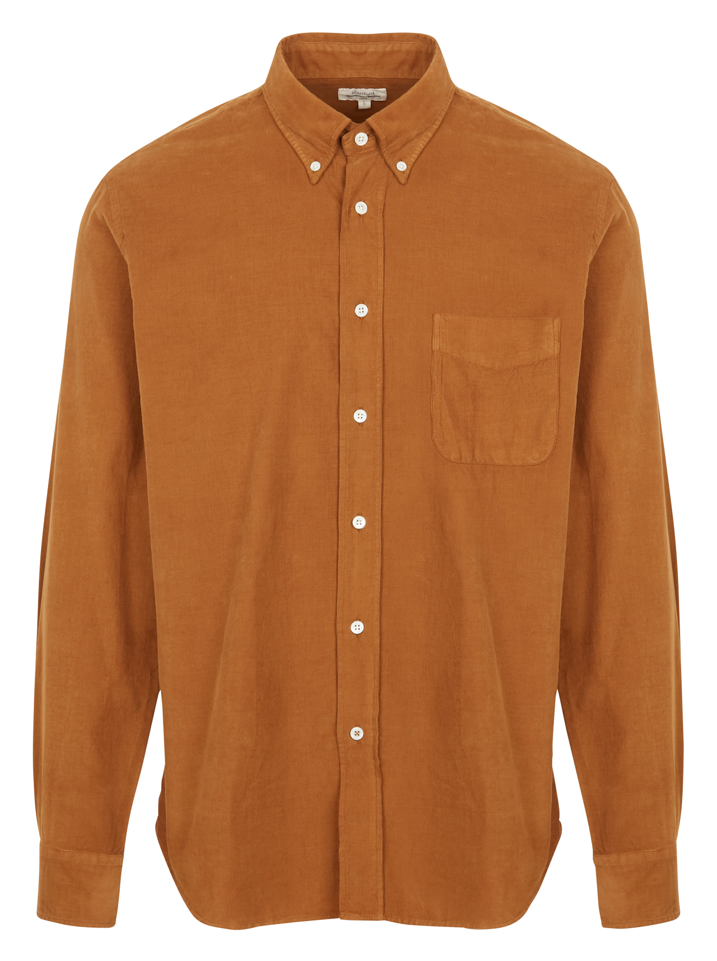 PITT PAT - Chemise col classique en coton| Marron