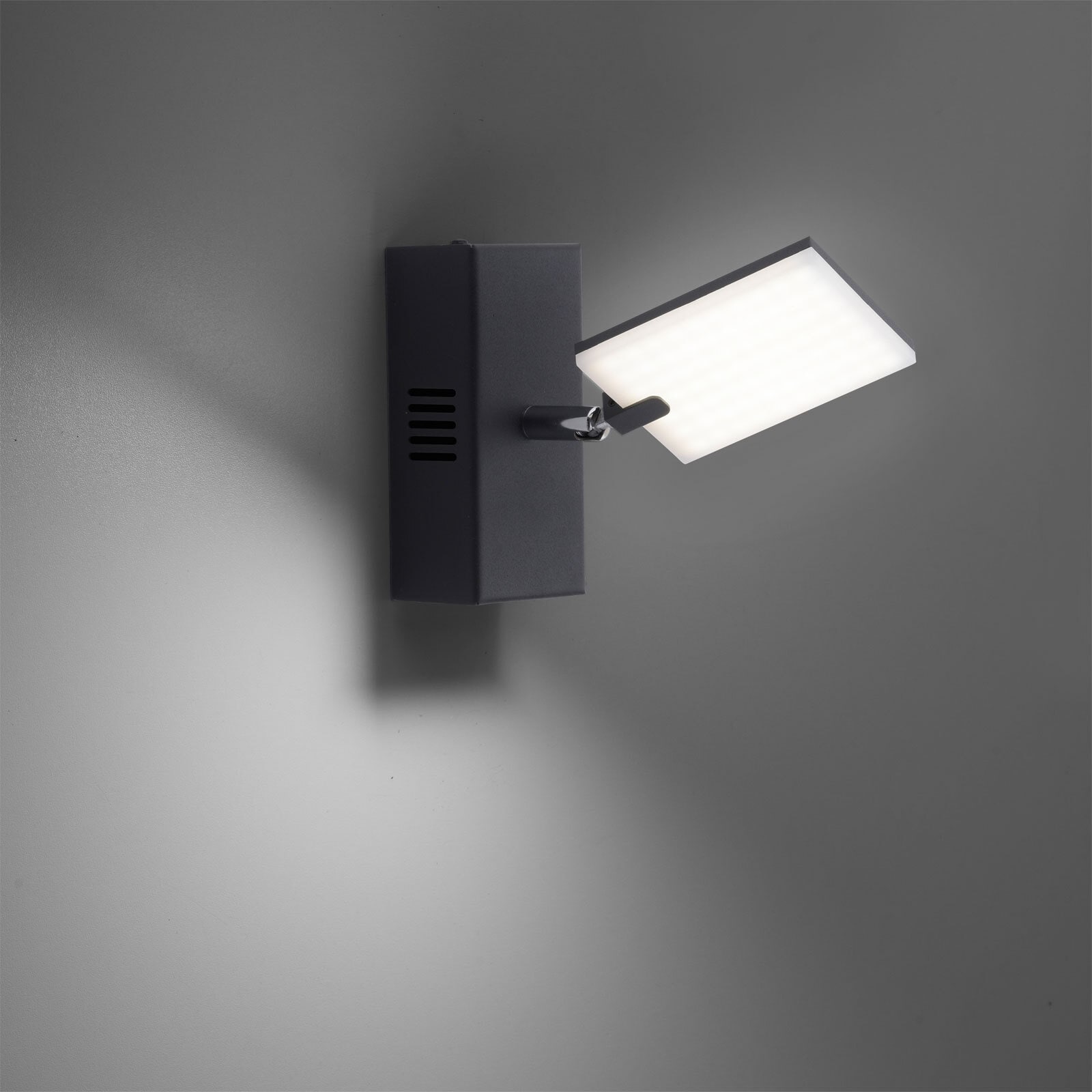 Paul Neuhaus LED Wandleuchte mit Spot PURE-MIRA schwarz