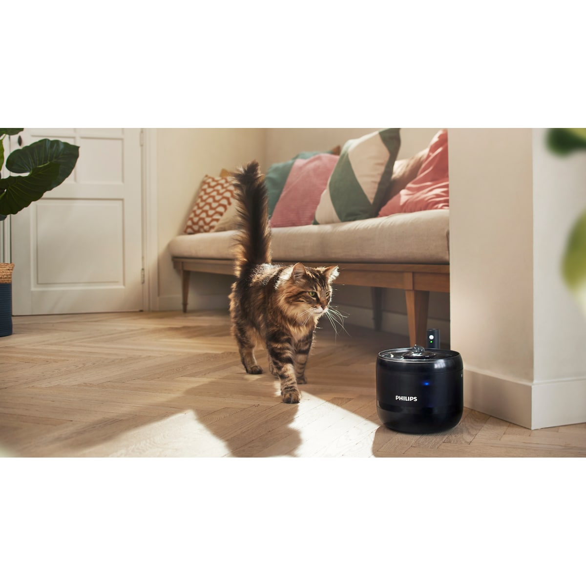 Philips Pet Series vannfontene PAW3210/02 (sort)