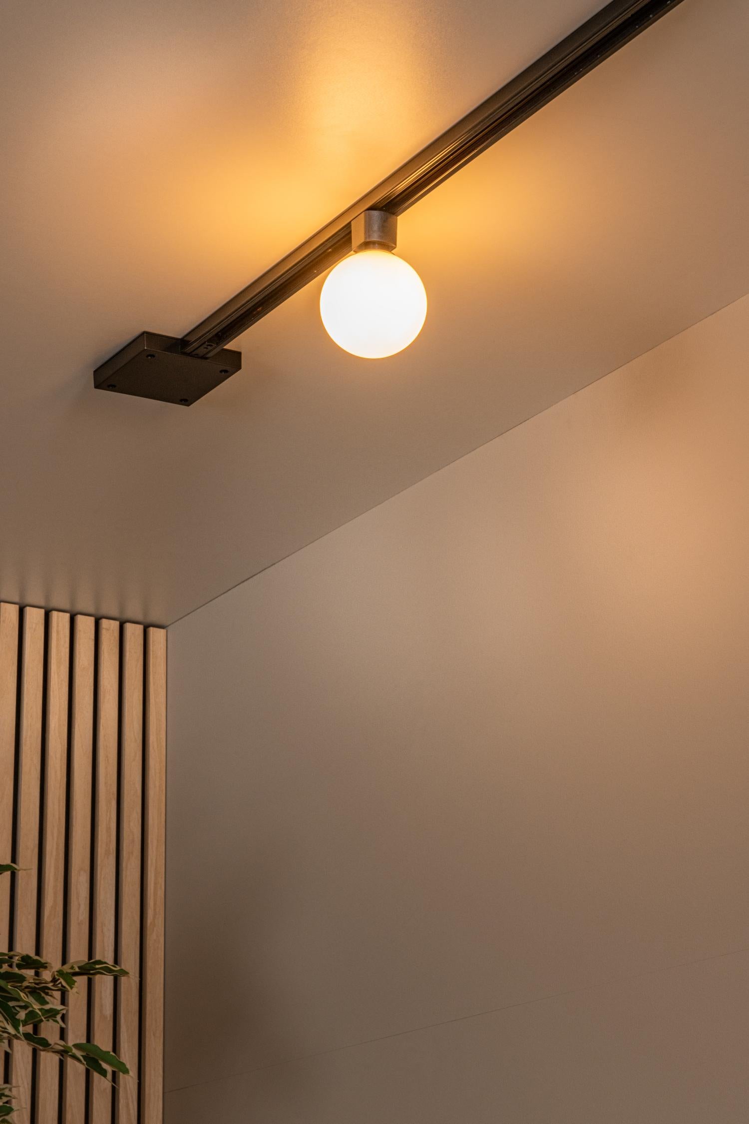 Lucide TRACK Railverlichting - Opaal
