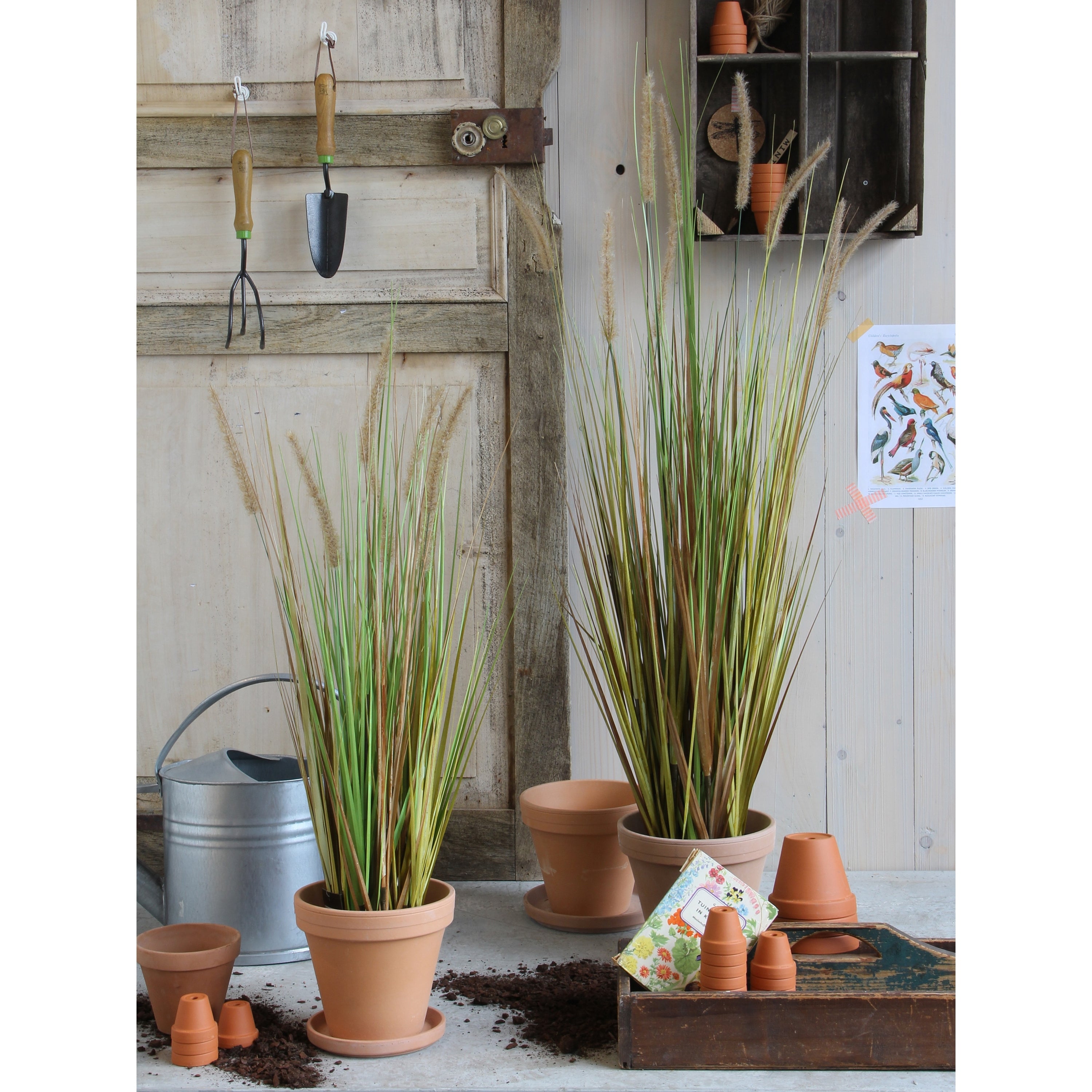 Mica Decorations Pluimgras Dogtail Kunstplant H92 cm