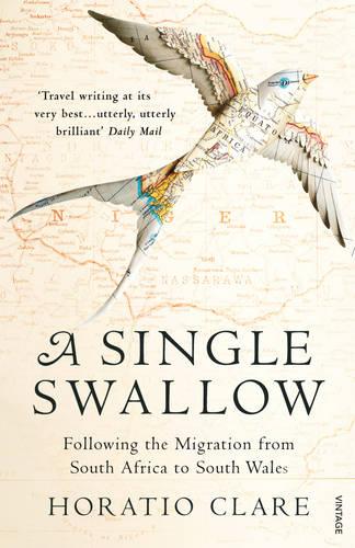 A Single Swallow: Following An Epic Journey From South Africa To South Wales (Paperback)