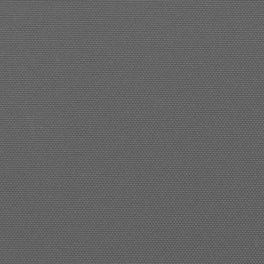 Kangmusi Seitenmarkise Ausziehbar Anthrazit 180x300 cm, Anthrazit 4004353