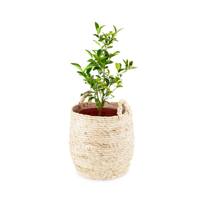Panier de rangement avec poignées Lhassa