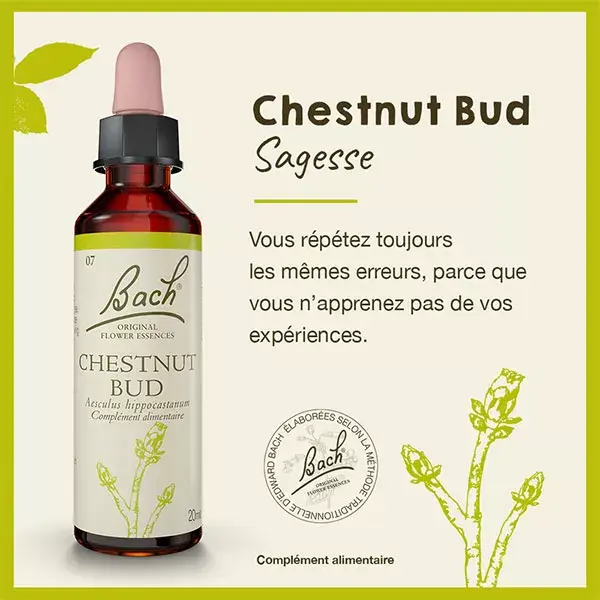 Florais de Bach Originais - Botão de Castanha 20ml