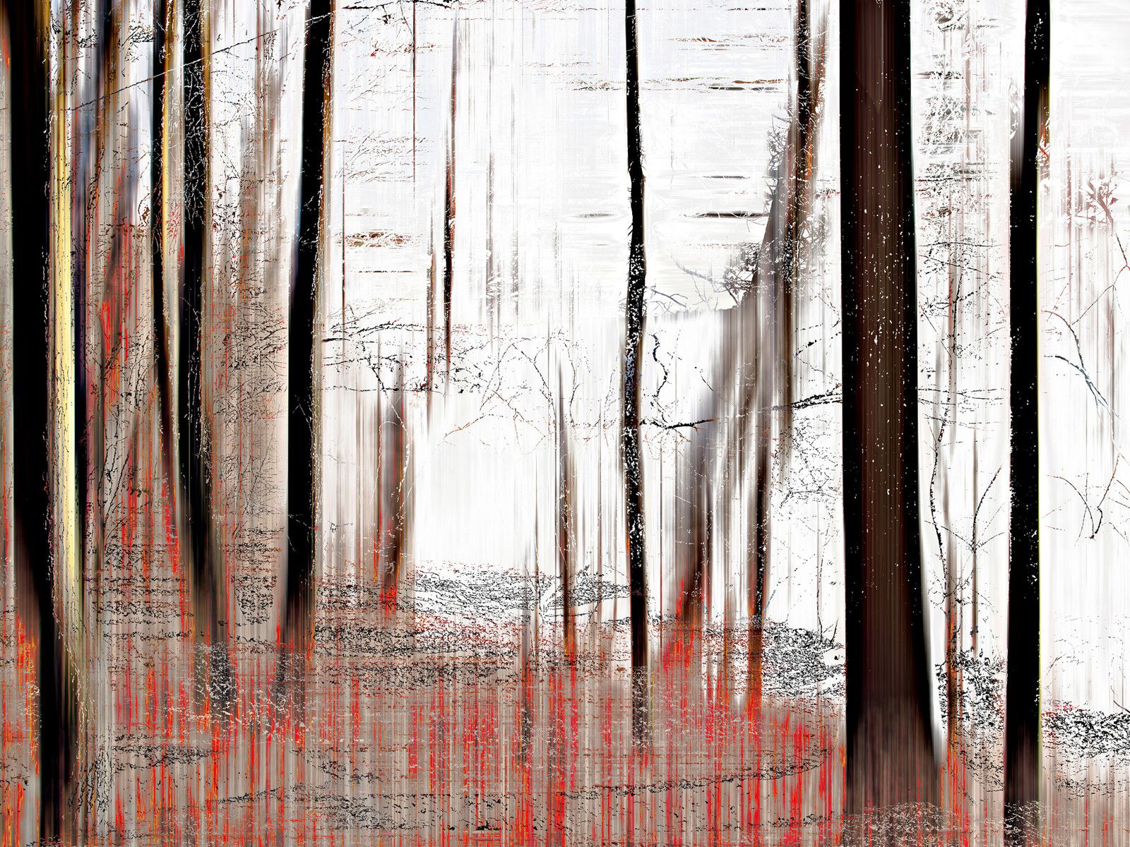 Wood_0870 by Sabine Wild - Darlings - Small Limited Edition. 30x40.