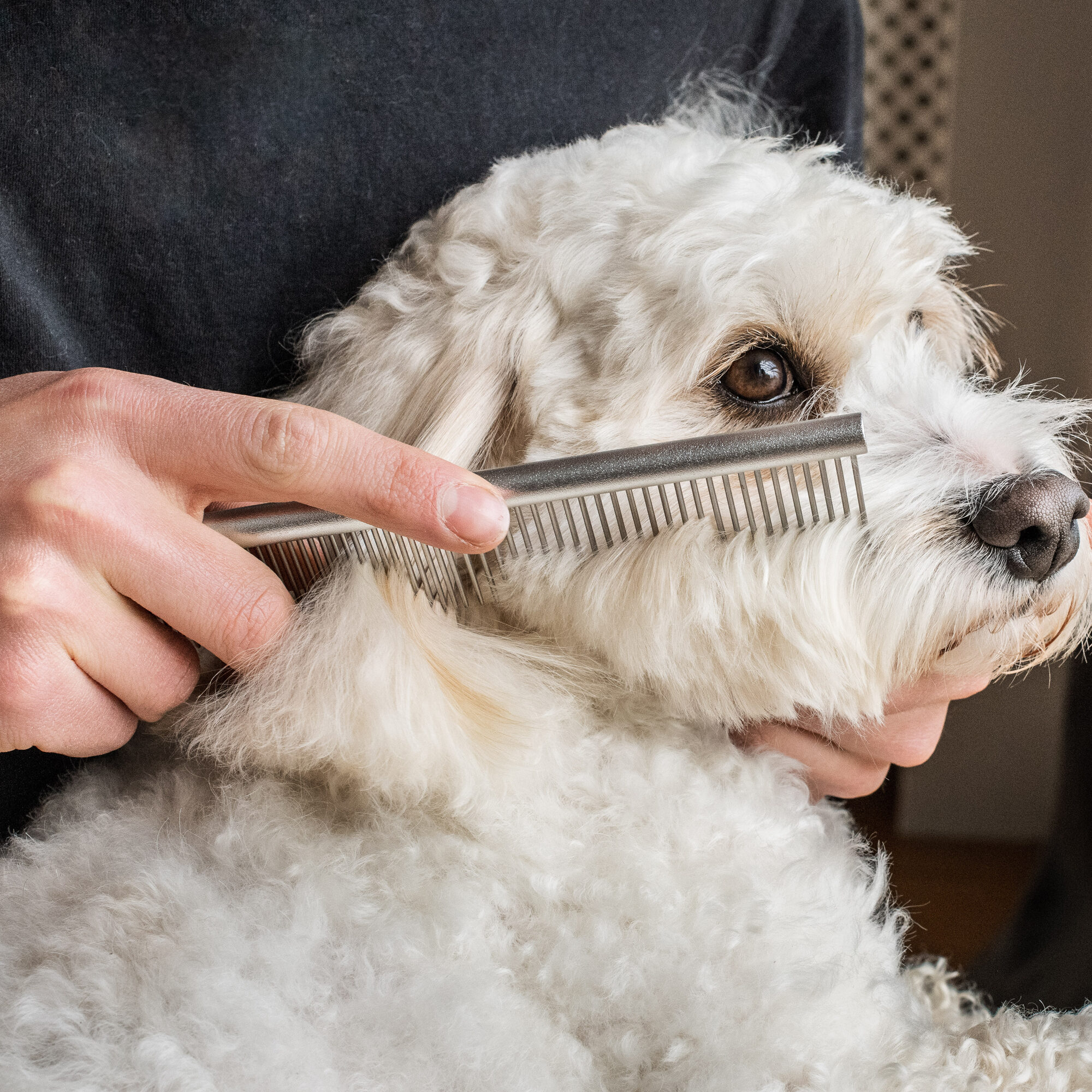 Mikki Doodle Comb