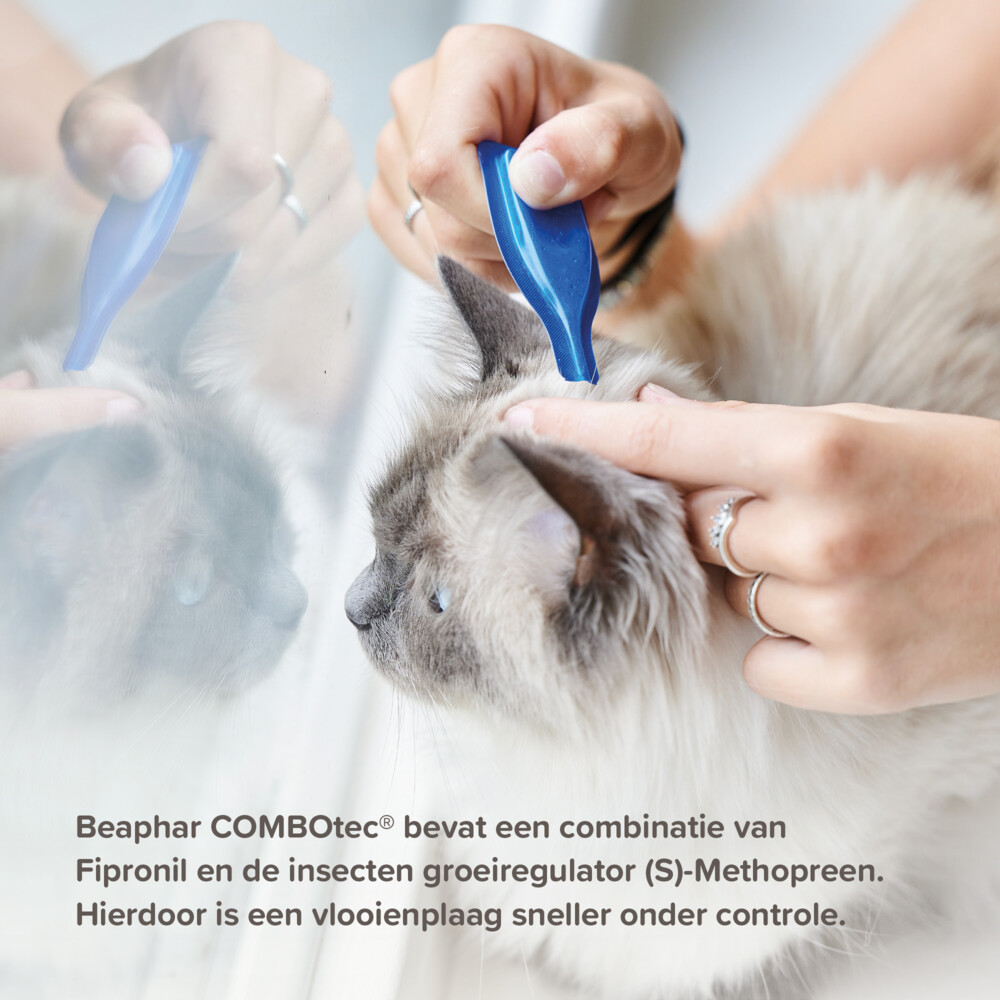 Beaphar Combotec Anti Vlooien en Teken Druppels Kat/Fret 2 pipetten