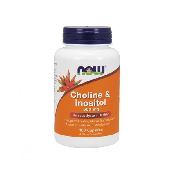 Choline & Inositol 500Mg