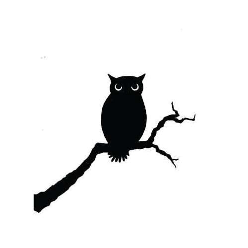 Lavinia Stempel, Owl
