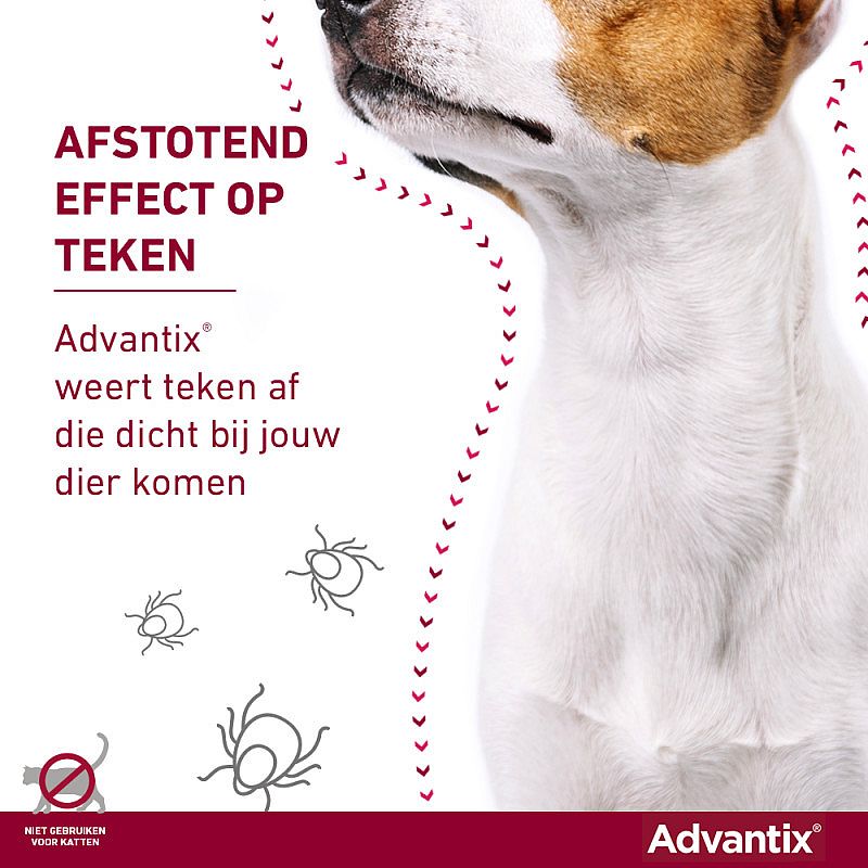 Advantix vlooienmiddel hond