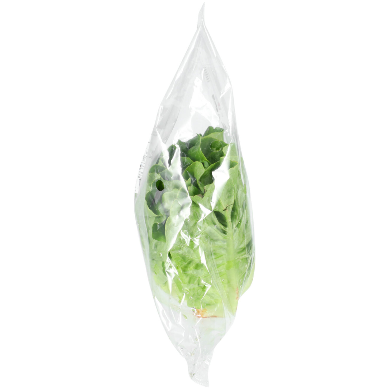 Naturaplan Bio Mini Lattich 2 Stück -