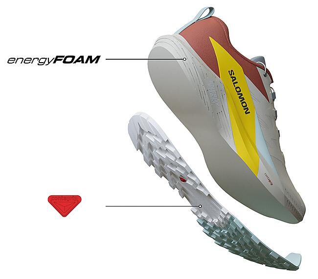SALOMON - CHAUSSURES DE TRAIL SENSE RIDE 5 M