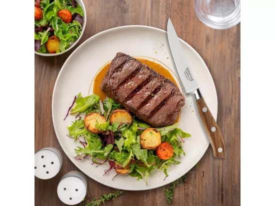 Ryokan - Coffret palette 4 couteaux steak