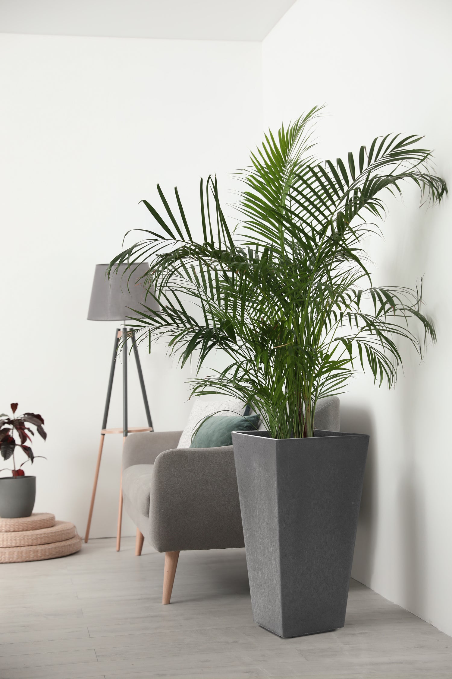 Tierra Verde bloempot Sonata grijs 36 x 36 x 70 cm