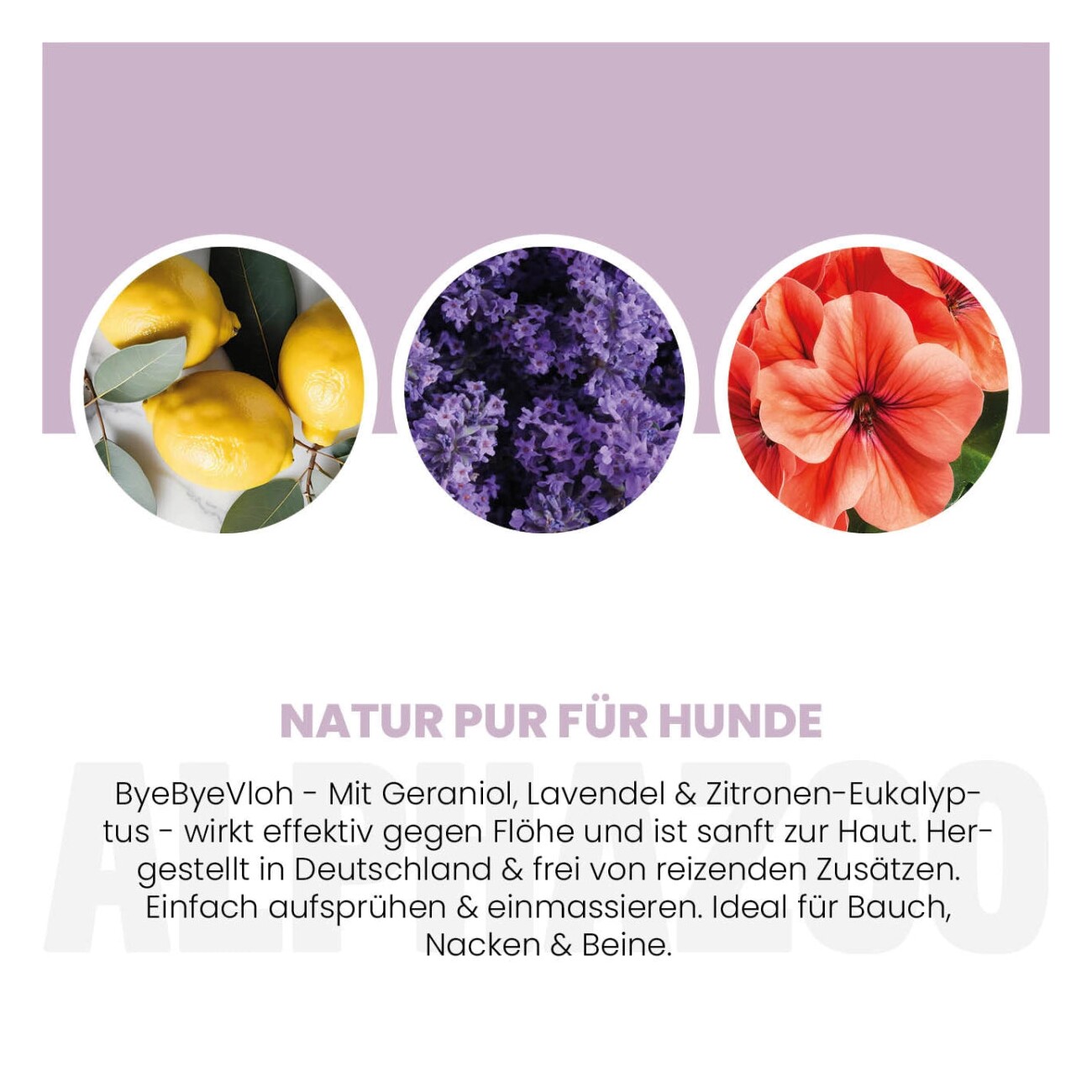 ALPHAZOO ByeByeVloh Flohmittel für Hunde I Starkes Anti Flohspray 100 ml