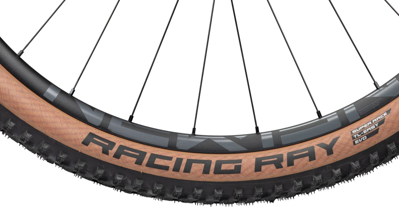 Radon Jealous 9.0 kaufen | Bike-Discount