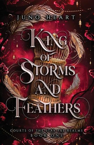 King of Storms and Feathers: A Fae Fantasy Bully Romance (Paperback)