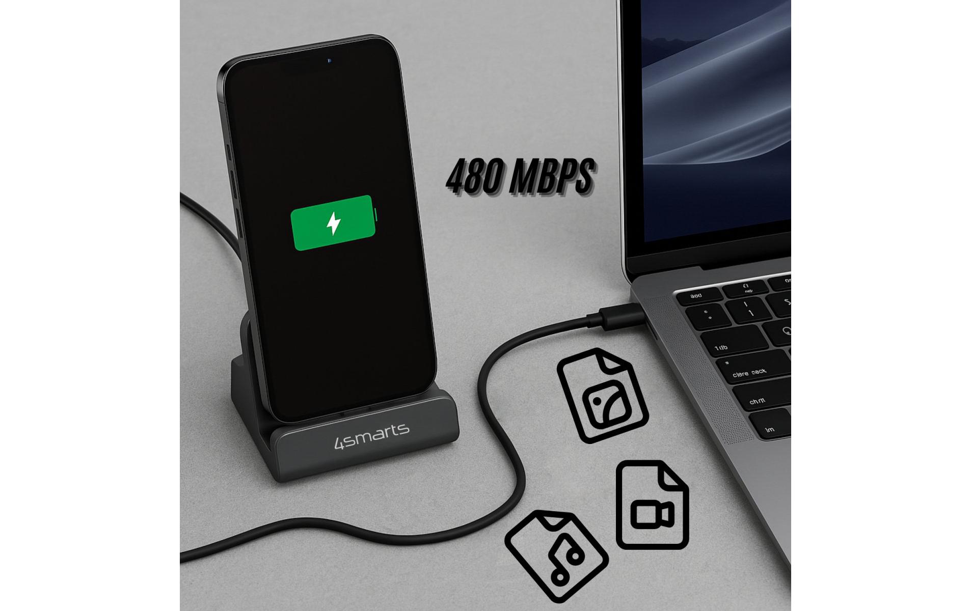 Ladestation VoltDock USB-C 60 W GrauUSB Typ-C VoltDock Ladestation