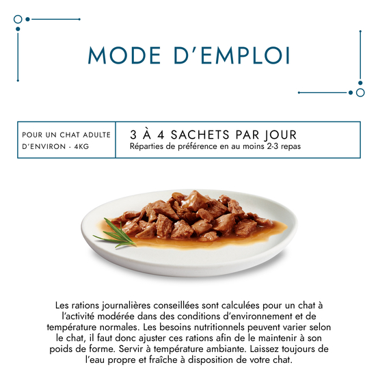 Filettines en Sauce Chat Gourmet - 60x85g