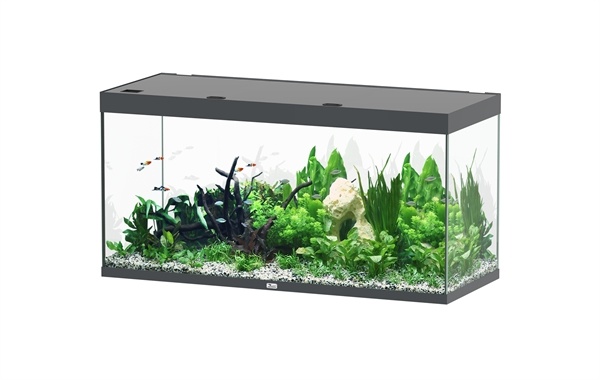Aquatlantis Sublime 150x60 aquarium | Gloednieuw