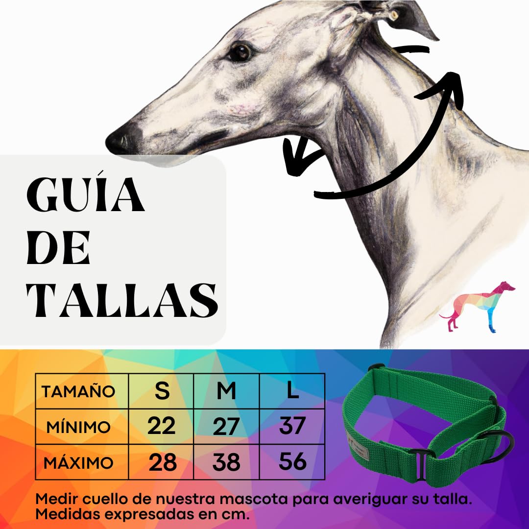 EGV - Coleira Martingale. Coleira artesanal para galgo, fabricada na Espanha (Verde)