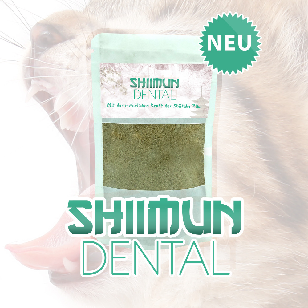 Poudre shiimun dental pour chats - 50g