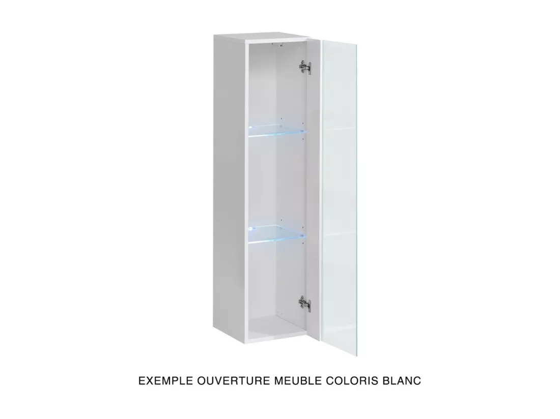 Vitrine suspendue – Gris – Collection SWITCH – Porte vitrée et LED inclus – Petit modèle