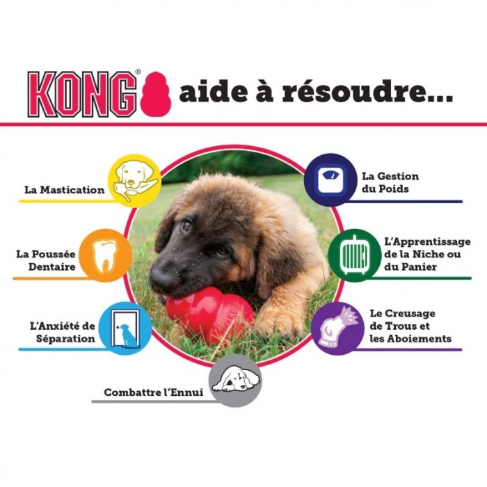 Jouet pour chiot  KONG