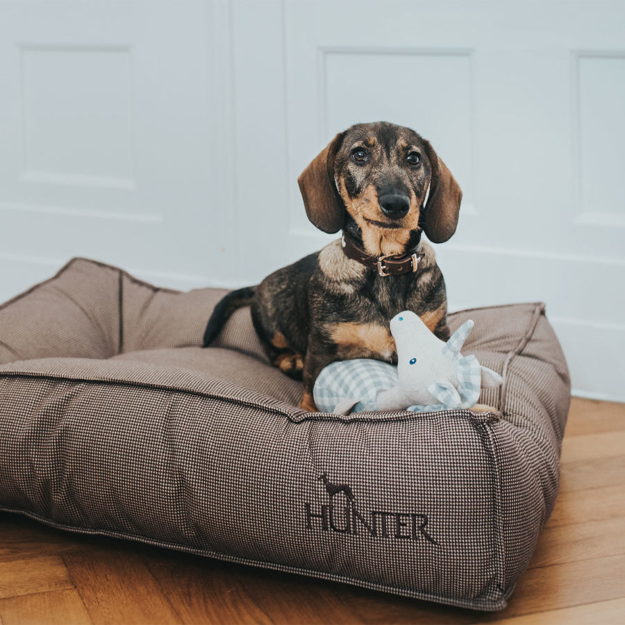 Cama para cães Hunter Lancaster marrom